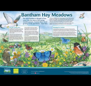Bantham Hay Meadows Board