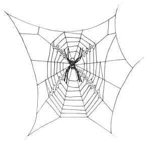 Web stabilimentum diagrams