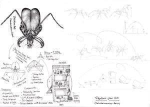 Trapdoor jaw ant Odontomachus bauri head with tribot and notes – SOLD –