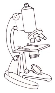 Compound microscope illustration