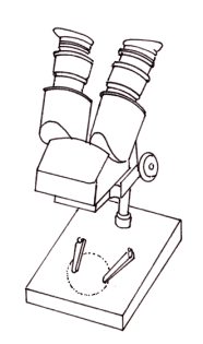 Dissecting microscope diagram