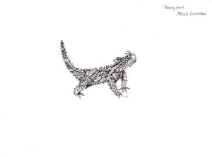 Thorny devil Moloch horridus