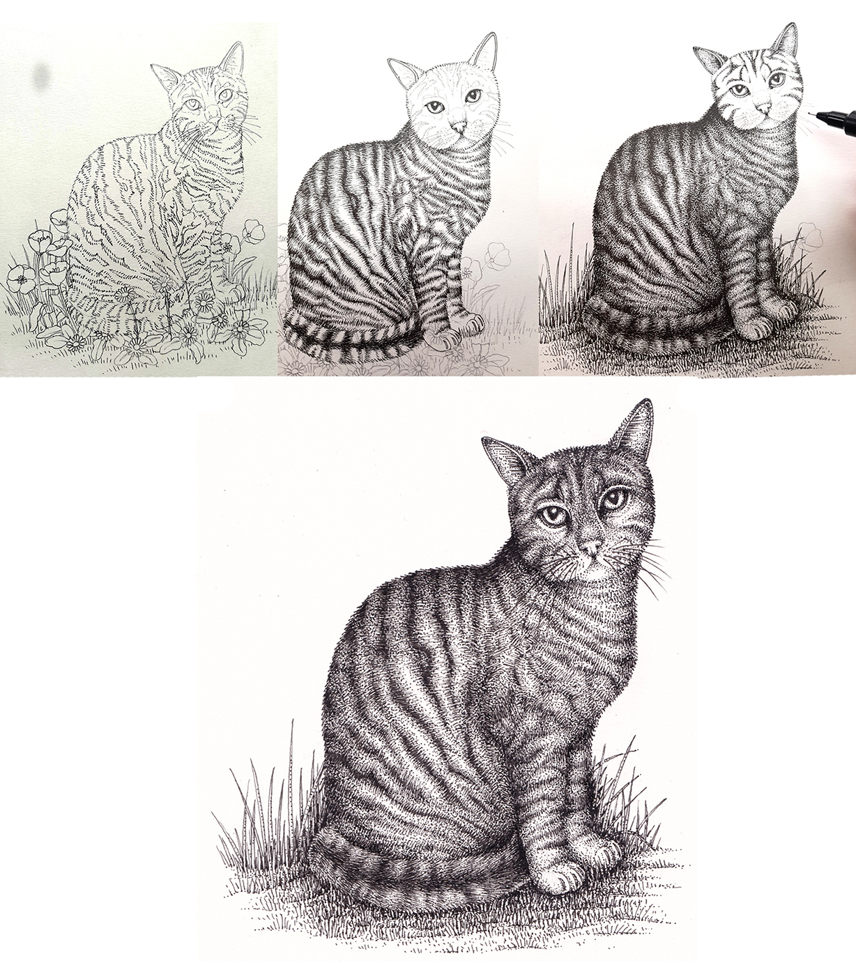Illustrations for 