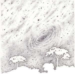 Hidden universe starry sky and trees – SOLD –