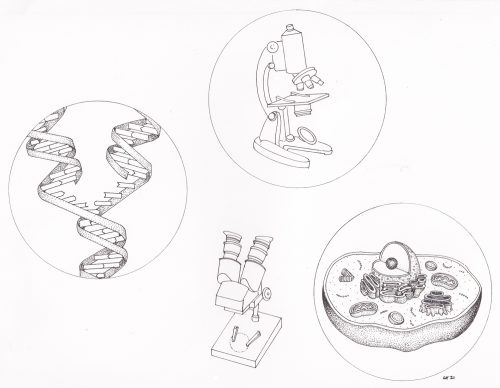 DNA, Microscopes and Cell diagram - Lizzie Harper