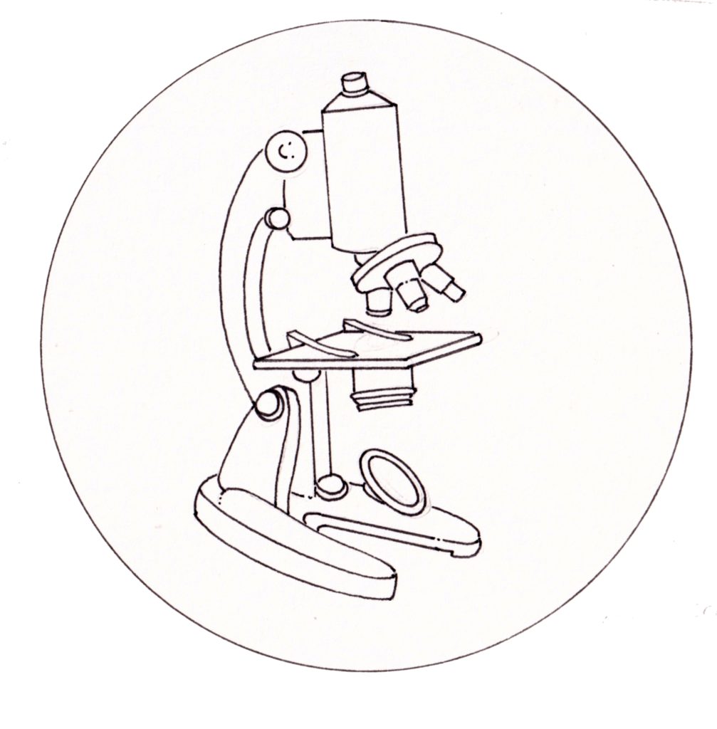 compound-microscope-lizzie-harper