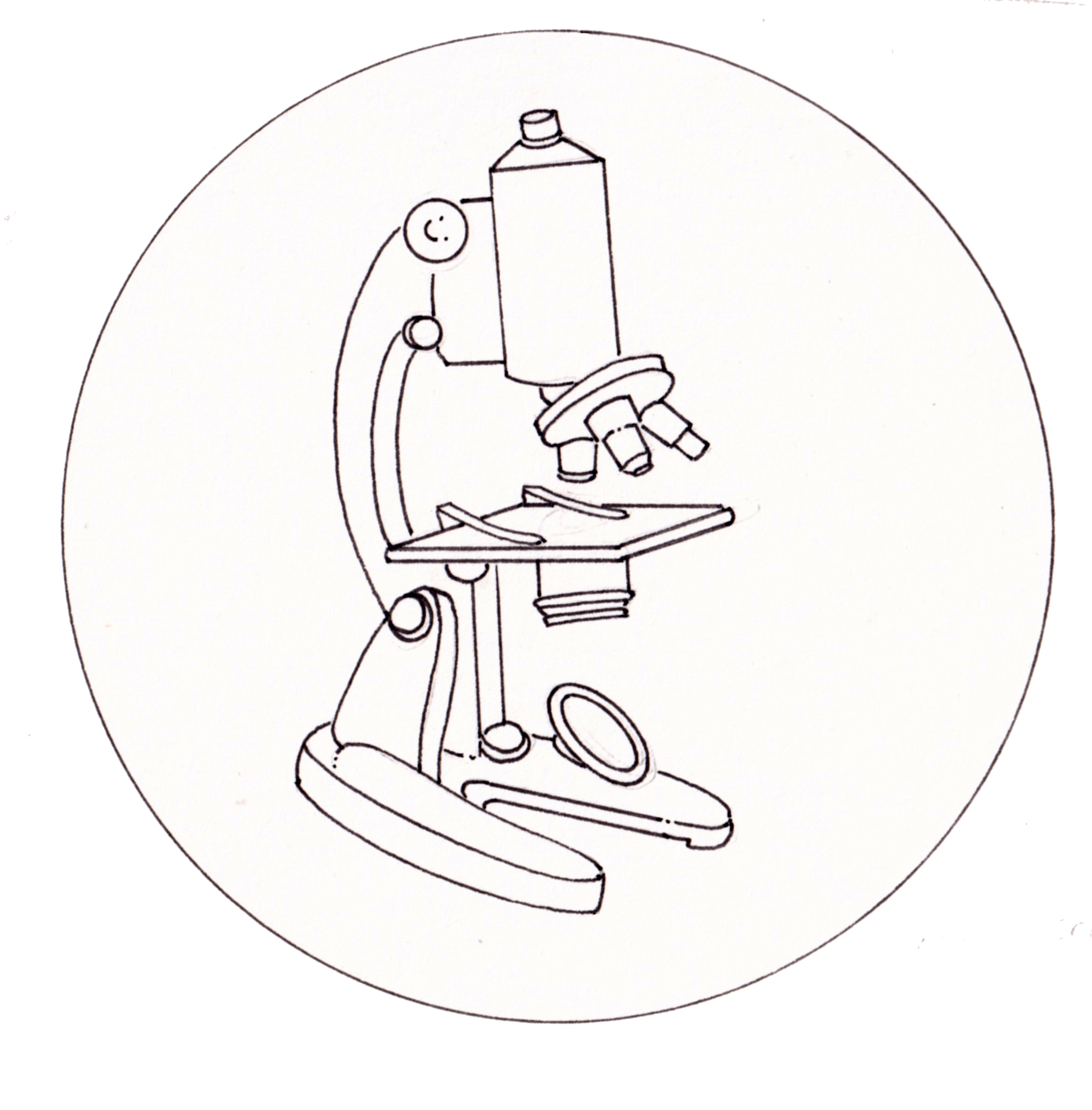 Microscope Sketch PNG Transparent Images Free Download | Vector Files |  Pngtree