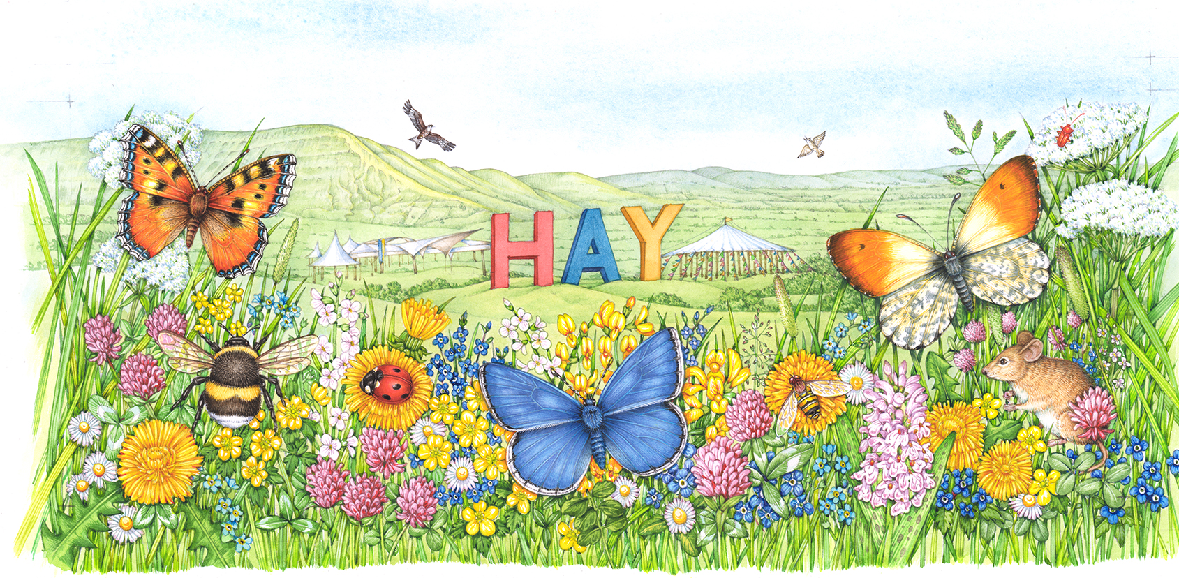 Illustrating a Butterfly Bouquet - Lizzie Harper