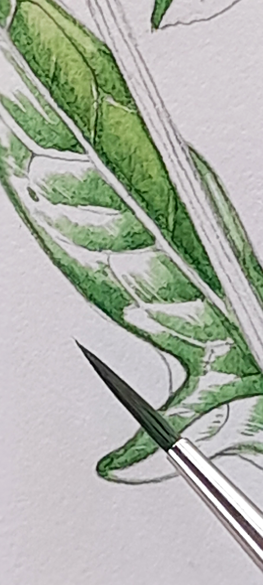 Rosemary & Co Pointed red dot 3 Lizzie Harper