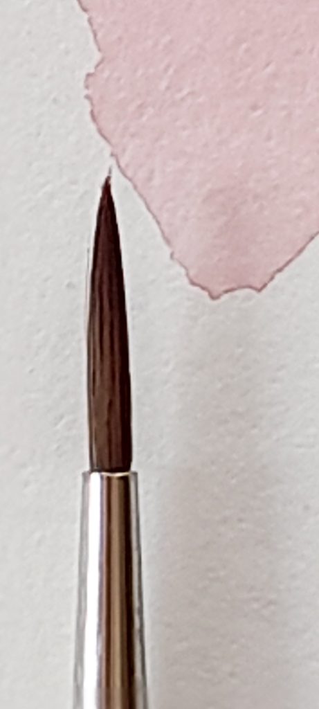 Brushes review: Winsor & Newton series 7 vs Rosemary • Chest of Colors