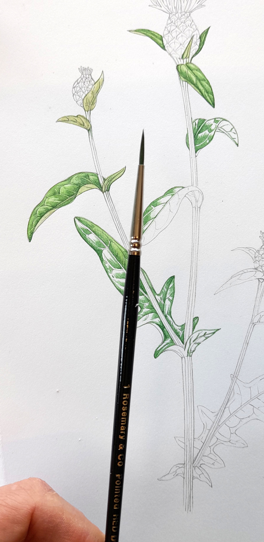 Paintbrushes Exploring synthetics Part 2 Lizzie Harper