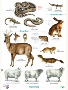 Guide to the North York Moors by FSC