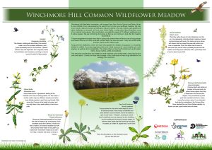 Winchmore Hill Common Interpretation Board