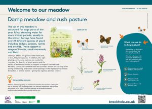 Brockhole Information Boards