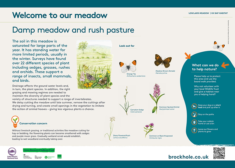 Brockhole Information Boards Lizzie Harper