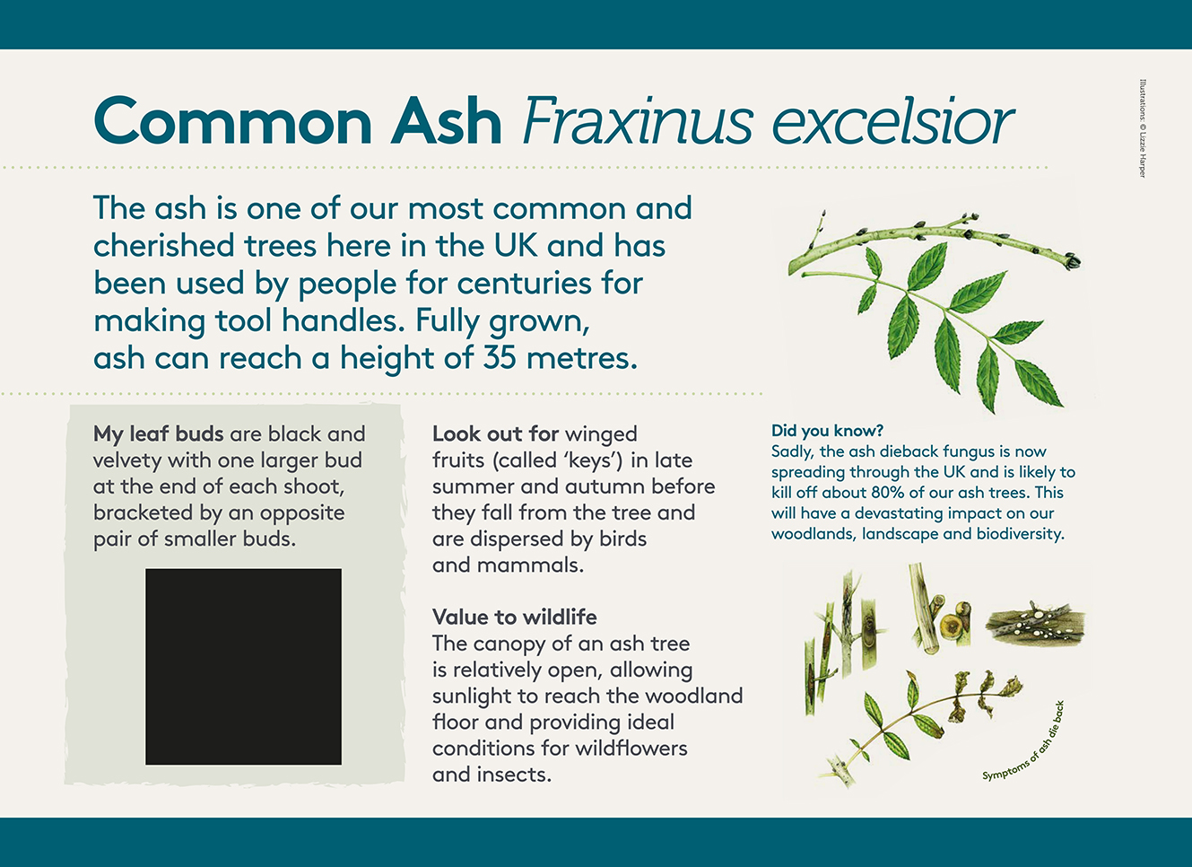 Brockhole information