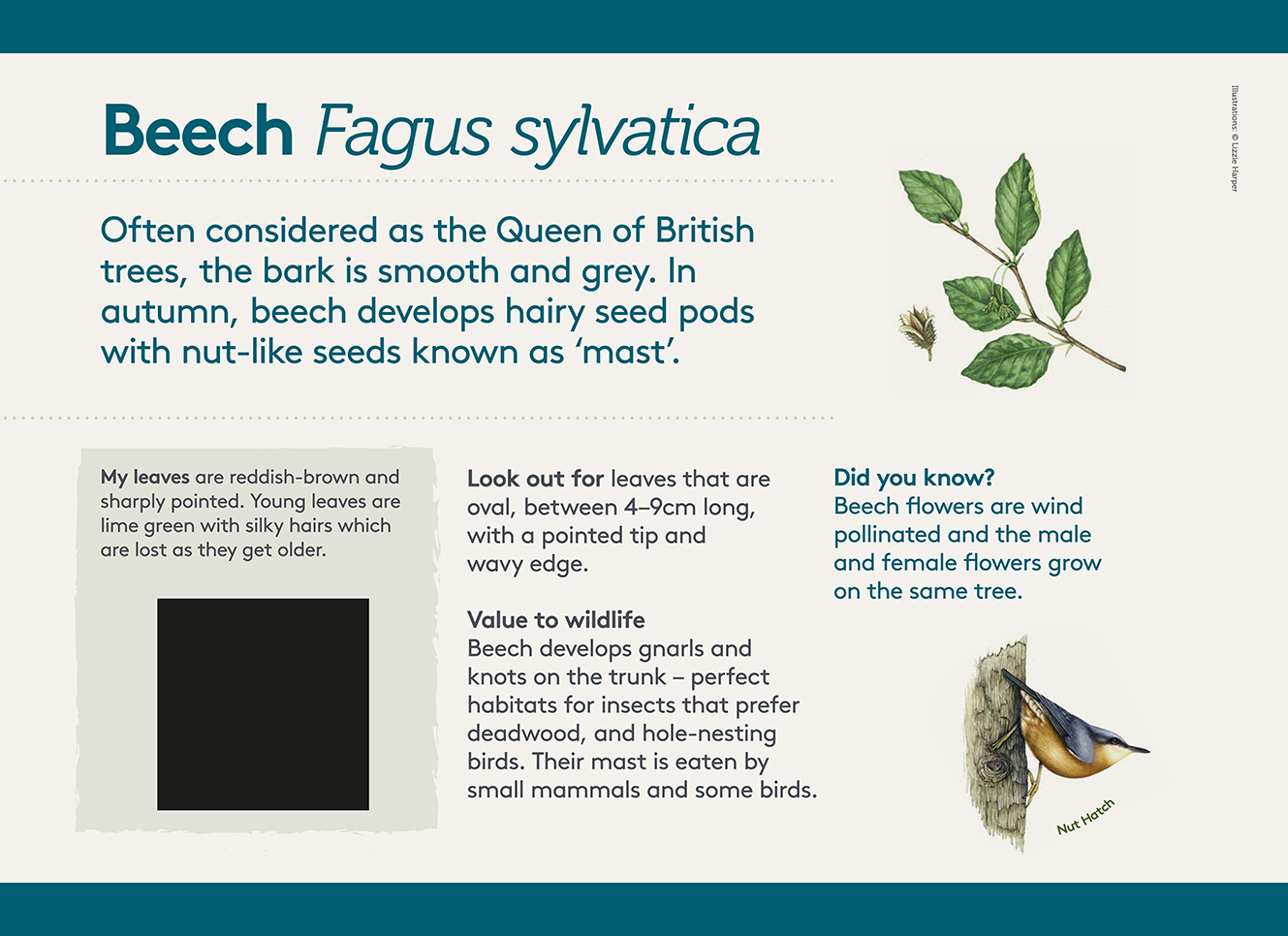 Brockhole information