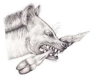 Biomimetics and Biological Function Scientific Paper