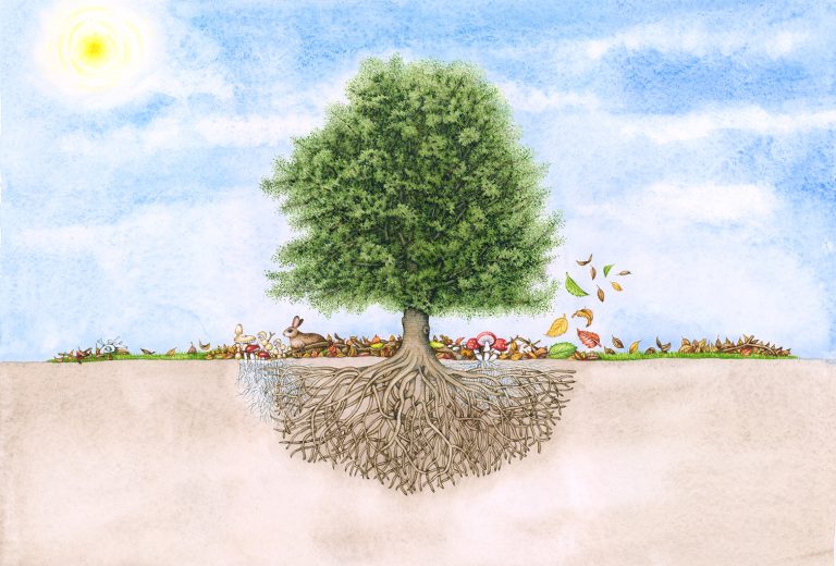 Carbon Cycle: A Complicated Illustration - Lizzie Harper