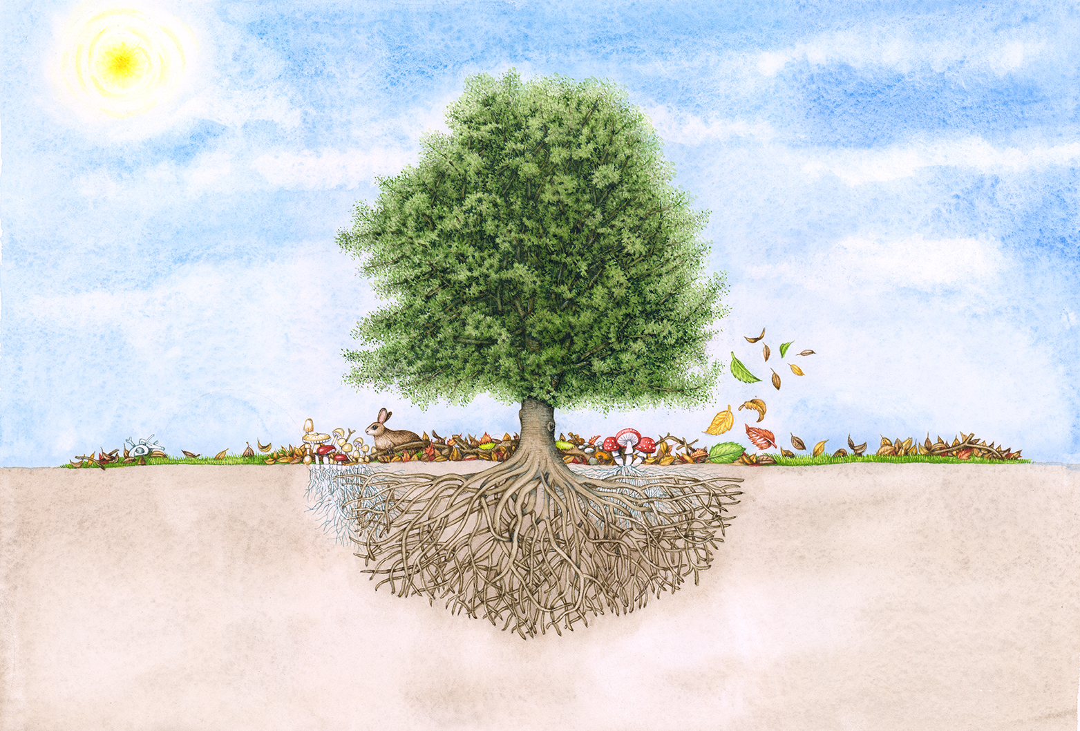 Free: Simple Tree Drawings With Roots Images Pictures Becuo - Tree Outline  With Roots - nohat.cc
