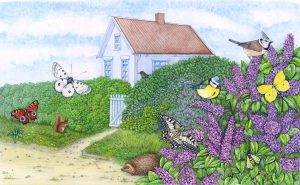 Lilac Hedgerow encouraging wildlife