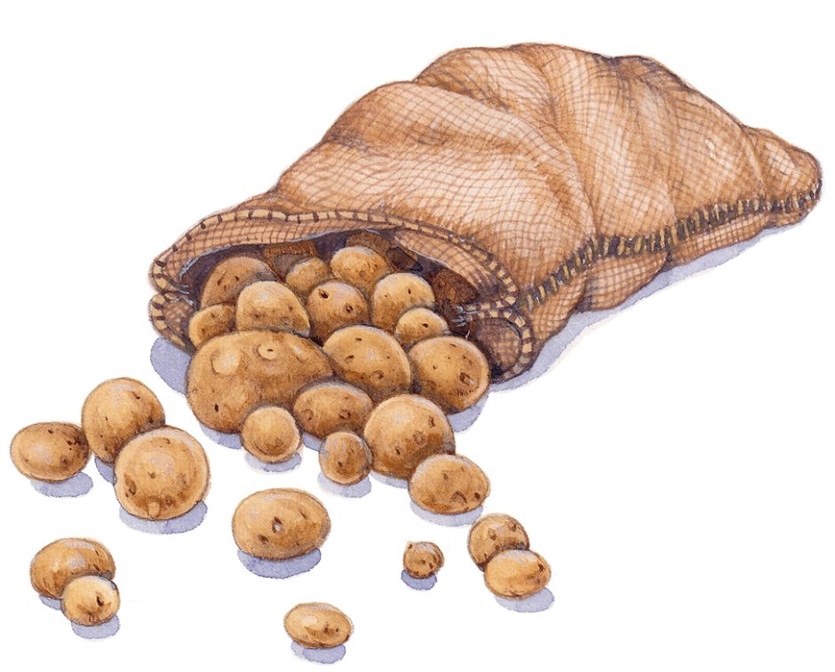 Sack of Potatoes Lizzie Harper
