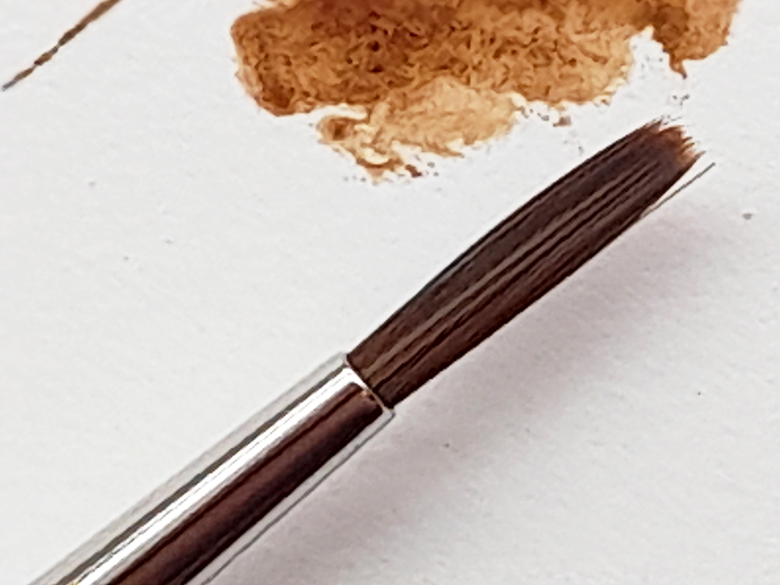 Introducing Da Vinci's Colineo Synthetic Watercolour Brushes