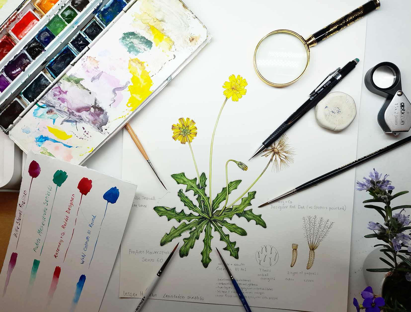 thumbnail image 2 of Rosemary & Co Botanical Brush Set – 7 Kolinsky Sable Brushes For Detail Painting, Perfect For Artists 2 of 6