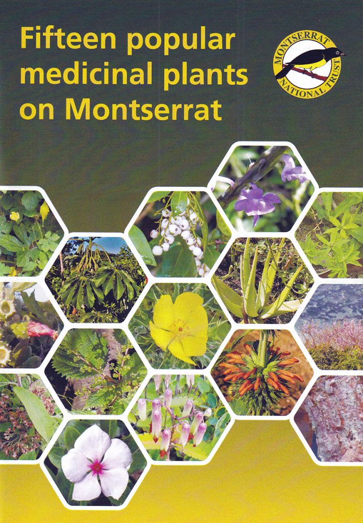 Popular Medicinal Plants of Montserrat - Lizzie Harper