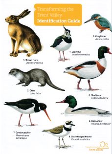 Transforming the Trent Valley Wildlife guide