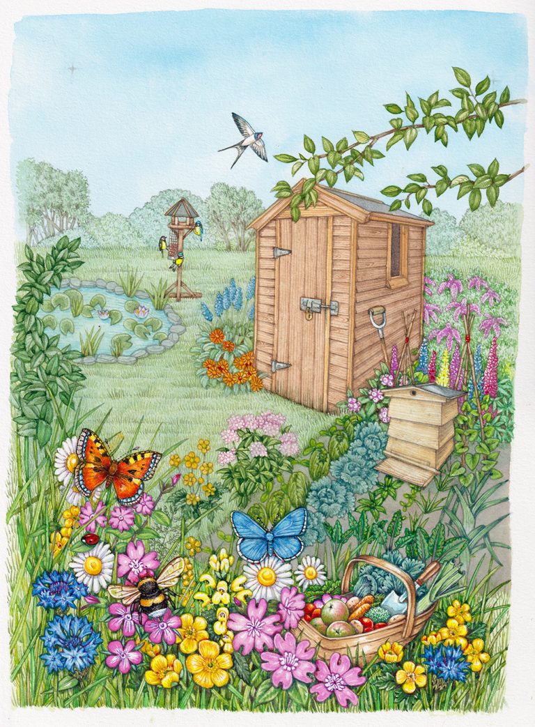 Garden scene - Lizzie Harper
