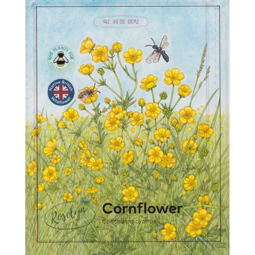 Meadow buttercups