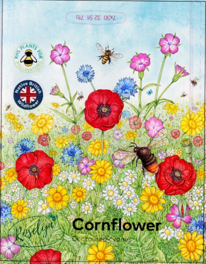 Wildflower meadow