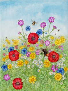 Wildflower meadow with Bumble bee