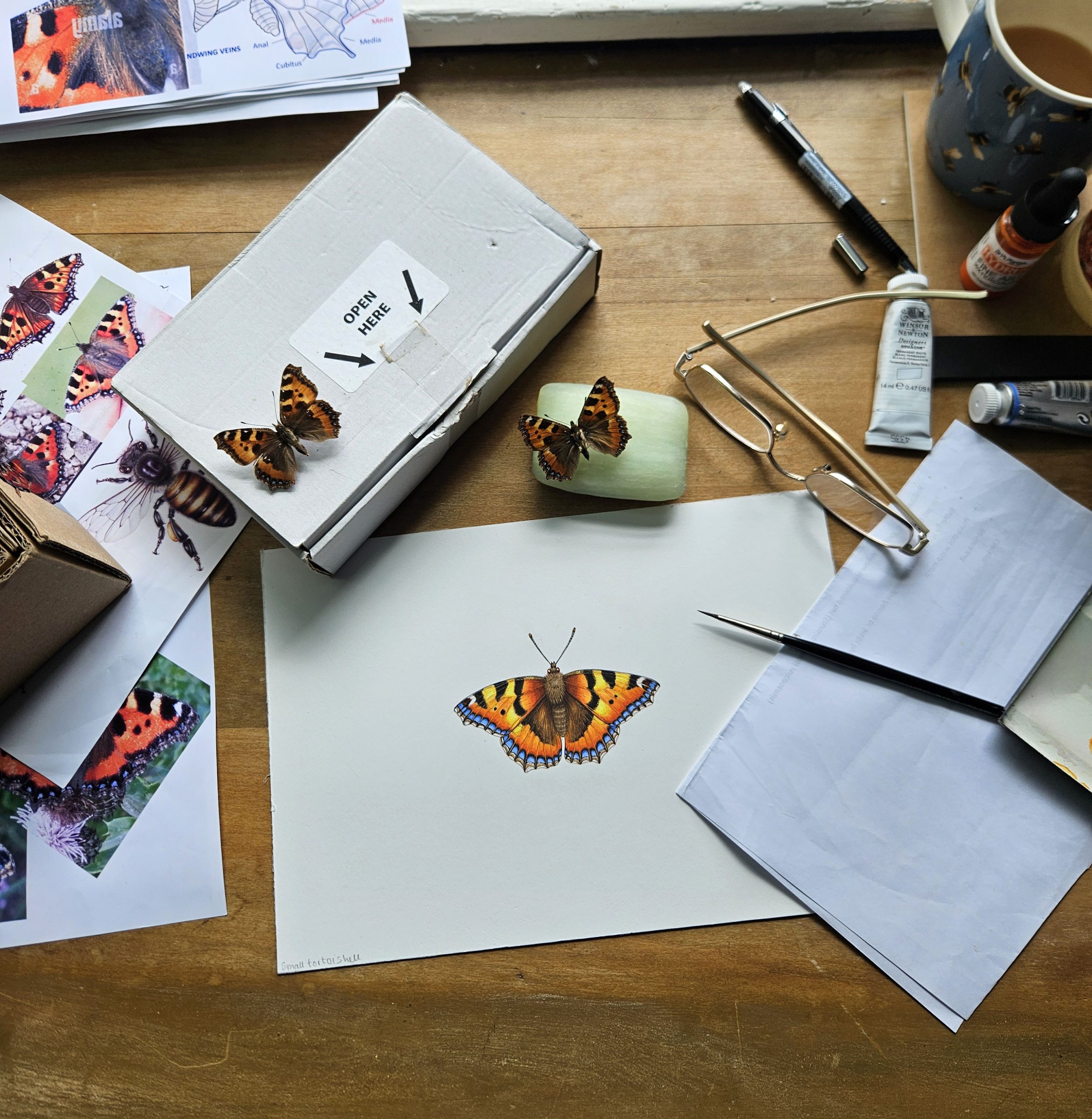 small tortoiseshell butterfly