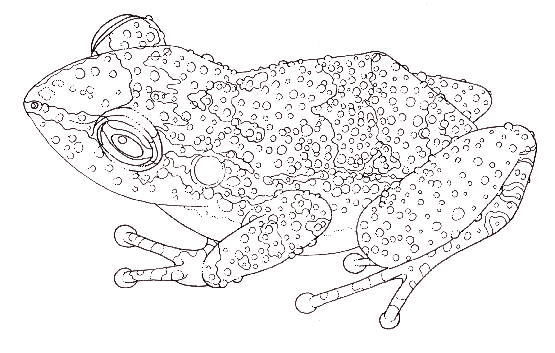 Montserrat whistling