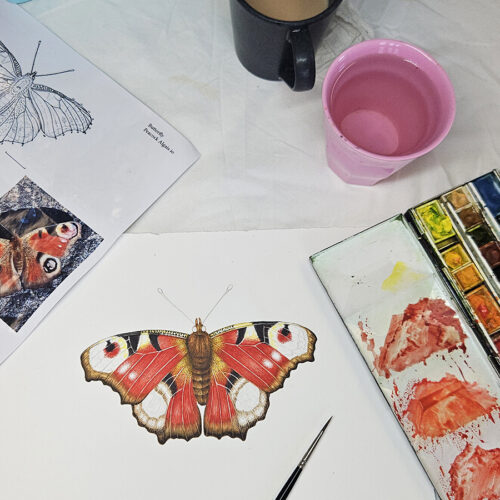 Peacock butterfly