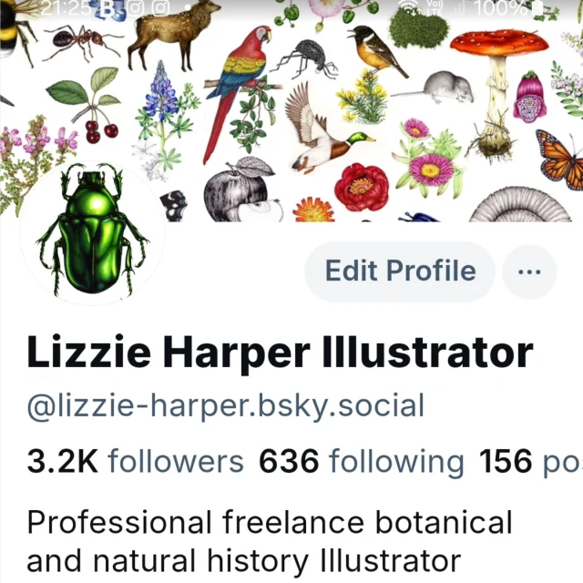 Come and find me on Bluesky. It's a lovely friendly platform full of sciencey and arty people. I'm lizzie-harper-bsky-social.  I will still post on Insta but have already moved away from Twitter. Bluesky is a gentler place and isn't into AI copyright infringement.  See you there! Xxx
